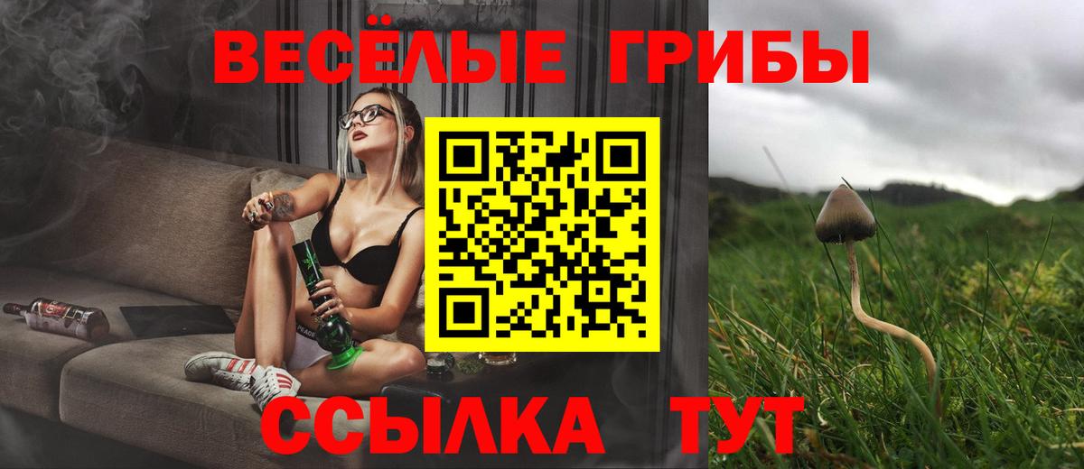 Псилоцибиновые грибы мицелий Раменское