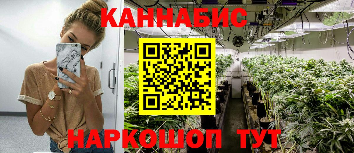 Каннабис планчик Раменское